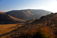 Israel, The Golan, Gamla