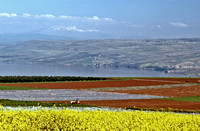 Galilee fields & Mt. Hermon