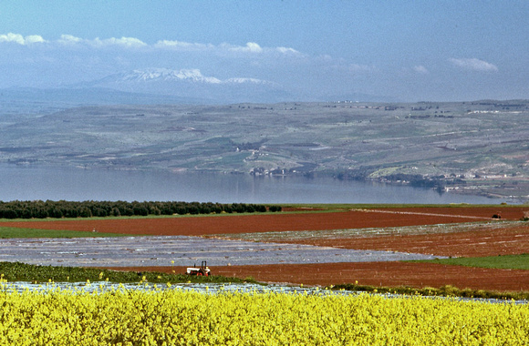 Galilee fields & Mt. Hermon