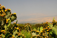 Mount Hermon from Tel Hazor