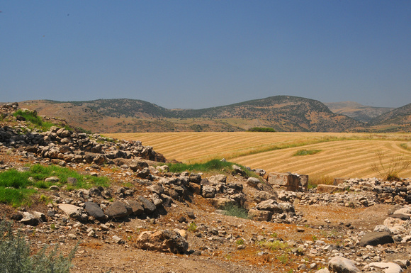 Grain fields today from Hazor of Joshua's day