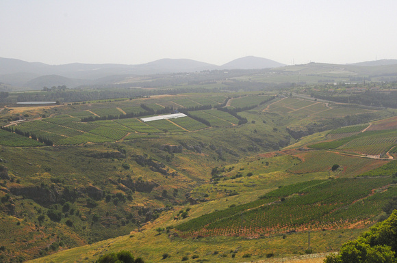 Safed region