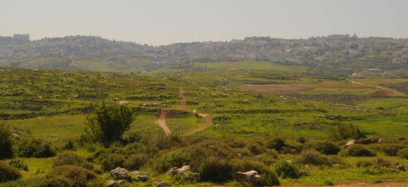 Fields between Zippori & Nazareth